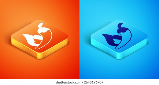 Isometric Hot chili pepper pod icon isolated on orange and blue background. Design for grocery, culinary products, seasoning and spice package, cooking book.  Vector