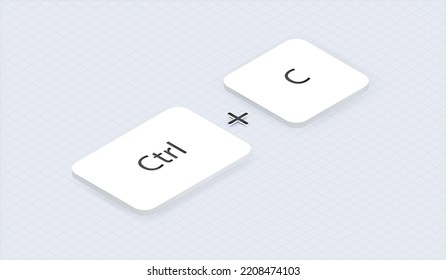 Isometric Hotkey shortcut combination Ctrl + c. copy