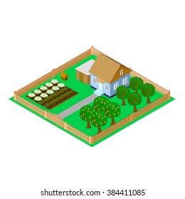 Isometric house, apple tree garden, cabbage, tomato vector Illustration