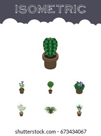 Isometric Houseplant Set Of Flower, Peyote, Tree And Other Vector Objects. Also Includes Pot, Peyote, Fern Elements.