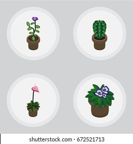 Isometric Houseplant Set Of Flowerpot, Grower, Flower And Other Vector Objects. Also Includes Flower, Cactus, Flowerpot Elements.