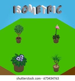 Isometric Houseplant Set Of Grower, Tree, Flowerpot And Other Vector Objects. Also Includes Plant, Botany, Flowerpot Elements.