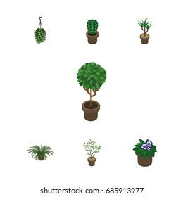 Isometric Houseplant Set Of Peyote, Blossom, Plant And Other Vector Objects. Also Includes Peyote, Houseplant, Flower Elements.