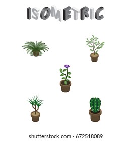 Isometric Houseplant Set Of Houseplant, Peyote, Flower And Other Vector Objects. Also Includes Pot, Fern, Flower Elements.