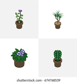 Isometric Houseplant Set Of Peyote, Flowerpot, Houseplant And Other Vector Objects. Also Includes Cactus, Flower, Peyote Elements.
