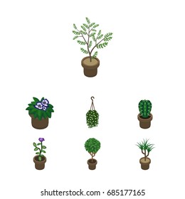 Isometric Houseplant Set Of Houseplant, Peyote, Tree And Other Vector Objects. Also Includes Cactus, Pot, Blossom Elements.