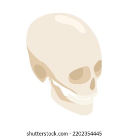 Isometric human skull on white background 3d vector illustration