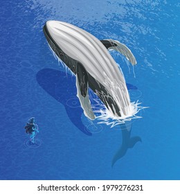 Isometric humpback whale with water spirit