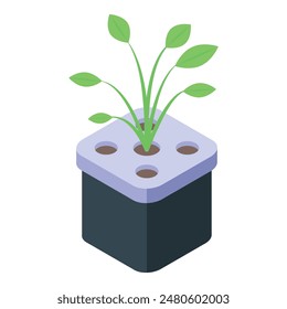 Ilustración de planta hidropónica isométrica con tecnología gráfica de Vector que representa un sistema de agricultura sostenible sin suelo en la agricultura ecológica moderna