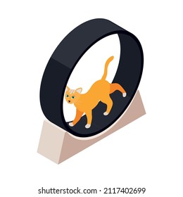 Isometric icon with cat doing fitness 3d vector illustration