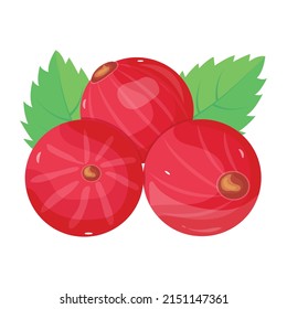 An isometric icon of cranberries in vector format 

