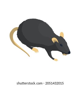 Isometric icon of grey rat on white background 3d vector illustration