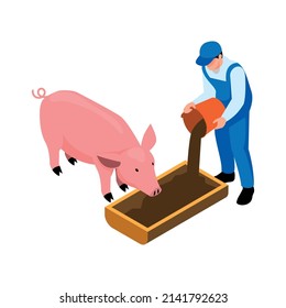 Isometric icon with male farmer feeding pig 3d vector illustration