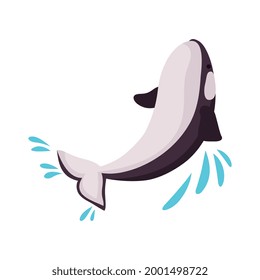 Icono isométrico con actuación de orca en delfinario Ilustración vectorial 3d