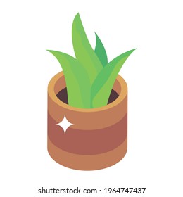 Isometric icon of potted plant, indoor home decor  