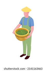 Isometric icon with tea picker holding basket with fresh plucked leaves 3d vector illustration