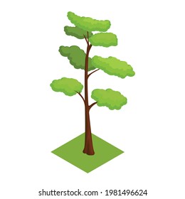Isometric icon with tree on green lawn 3d vector illustration