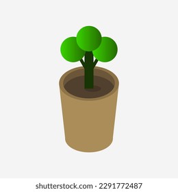 Isometric illustrated plant pot on a background