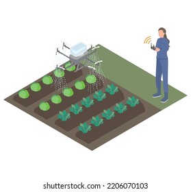 It Is An Isometric Illustration Of A Female Farmer Who Sprays Pesticides On Crops With A Drone.