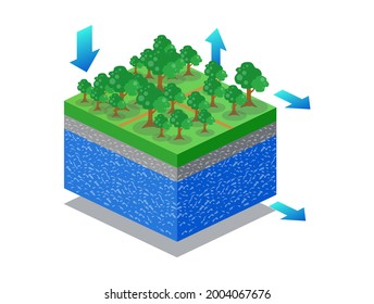 
Isometric illustration flat concept. forest with layers of soil and water below