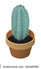 Isometric illustration of home cactus / highly detailed  