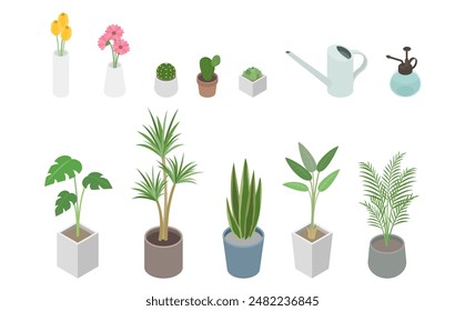 Isometric illustration: houseplants and flowers