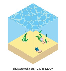 isometric illustration of sea or ocean floor with algae, coral, stones and shell. Underwater world, isometry