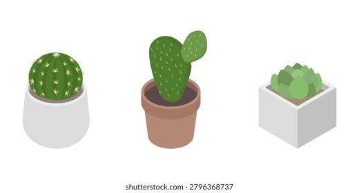 Isometric illustration: Set of cacti planted in pots