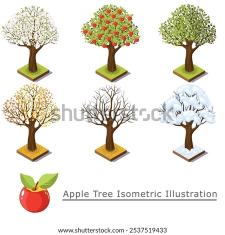 An isometric illustration showcasing apple trees throughout various seasons