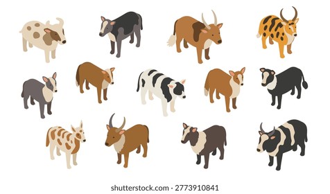 Isometric illustrations of diverse cattle breeds, including bulls and cows with varied patterns and horns, presented on a plain white background.