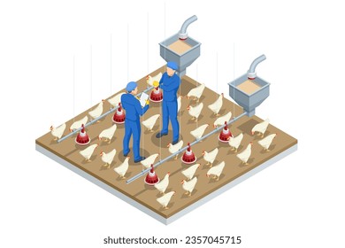 Isometric Indoors Chicken Farm, Chicken Feeding. Poultry Farm Web Banner