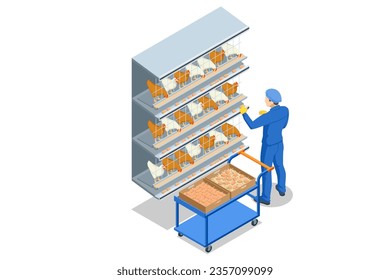 Isometric Indoors Chicken Farm, Chicken Feeding. Chicken Hens Eggs in Farm. Poultry Farm Web Banner