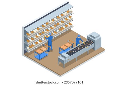 Isometric Indoors Chicken Farm, Chicken Feeding. Chicken Hens Eggs in Farm. Poultry Farm Web Banner