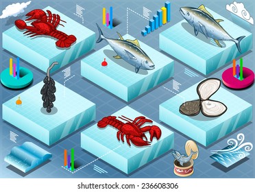 Isometric Infographic of Marine Life. 