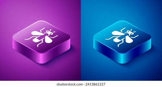 Isometric Insect fly icon isolated on blue and purple background. Square button. Vector