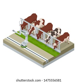 Isometric irrigational smart robotic system on the dairy farm. Automated agriculture, technology. Robot farmers. Farm cowshed with milking cows eating hay.