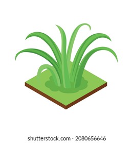 Isometric jungle composition with square piece of terrain and exotic plant vector illustration