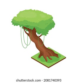Isometric jungle composition with square piece of terrain and exotic tree vector illustration