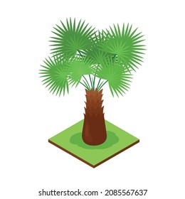 Isometric jungle composition with square piece of terrain and exotic plant vector illustration
