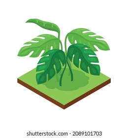 Isometric jungle composition with square piece of terrain and exotic plant vector illustration