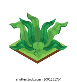 Isometric jungle composition with square piece of terrain and exotic plant vector illustration