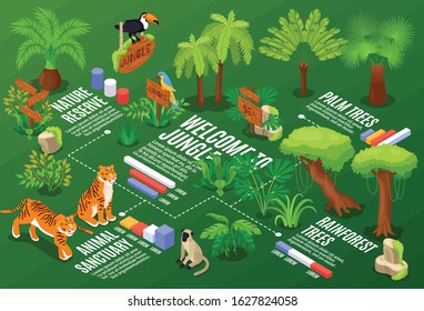 Isometric jungle horizontal composition with flowchart graphs and text captions with exotic plants and wild animals vector illustration