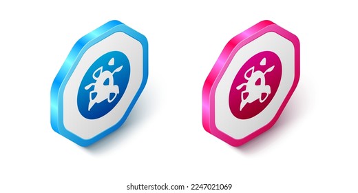 Isometric Kung Pao chicken icon isolated on white background. Chinese cuisine icon. Asian food. Hexagon button. Vector