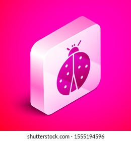 Isometric Ladybug icon isolated on pink background. Silver square button. Vector Illustration