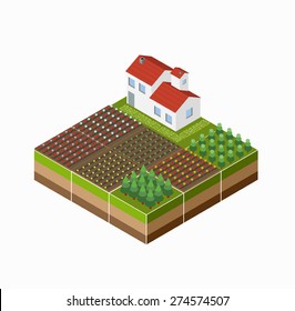 Isometric landscape of the countryside with the farm, the crop, the beds.
