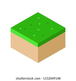 Isometric Landscape Cube Ground Grass vector illustration. concept. Flat style design. Colorful graphics
