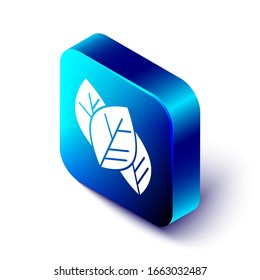 Icono de hoja isométrica aislado en fondo blanco. Deja la señal. Símbolo de producto natural fresco. Botón cuadrado azul. Ilustración vectorial