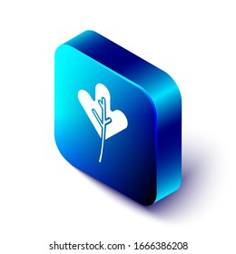 Icono de hoja isométrica aislado en fondo blanco. Deja la señal. Símbolo de producto natural fresco. Botón cuadrado azul. Ilustración vectorial