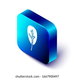 Isometric Leaf icon isolated on white background. Leaves sign. Fresh natural product symbol. Blue square button. Vector Illustration