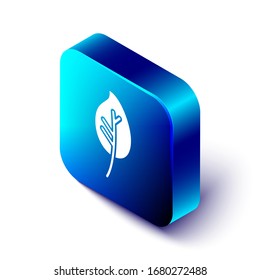 Icono de hoja isométrica aislado en fondo blanco. Deja la señal. Símbolo de producto natural fresco. Botón cuadrado azul. Ilustración vectorial